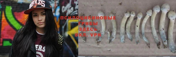 экстази Алзамай