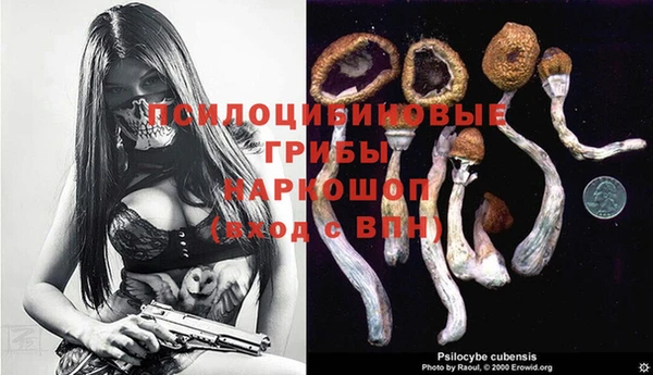 2c-b Абдулино