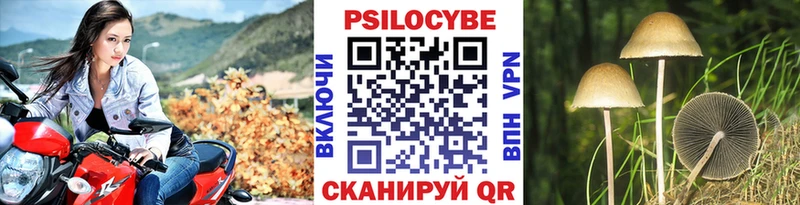Галлюциногенные грибы ЛСД  Димитровград 