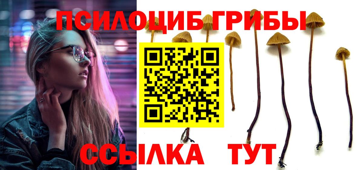 Димитровград  Галлюциногенные грибы Psilocybine cubensis  купить наркоту  Вход с VPN 