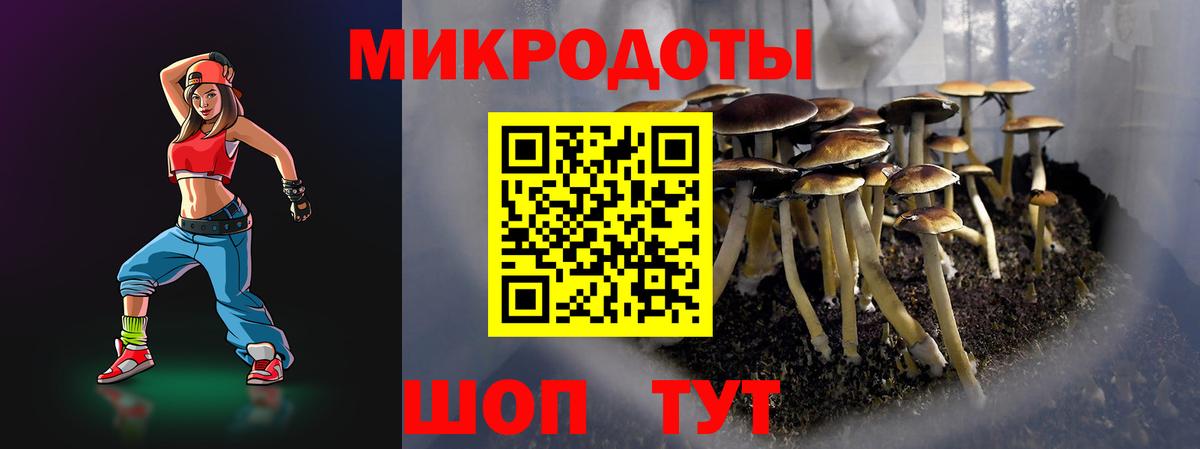 Псилоцибиновые грибы Cubensis Димитровград