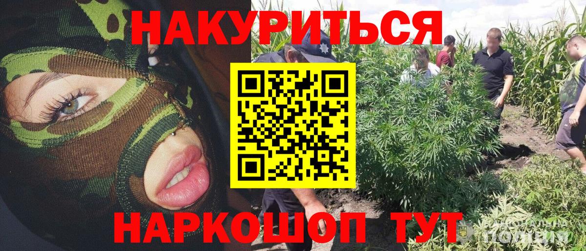 Бошки Шишки LSD WEED  Вход с VPN  Димитровград  Канабис SATIVA & INDICA  Конопля THC 21% 